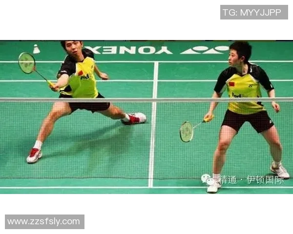 羽毛球战术解析：北京羽毛球队反击体系的创新与应用探讨